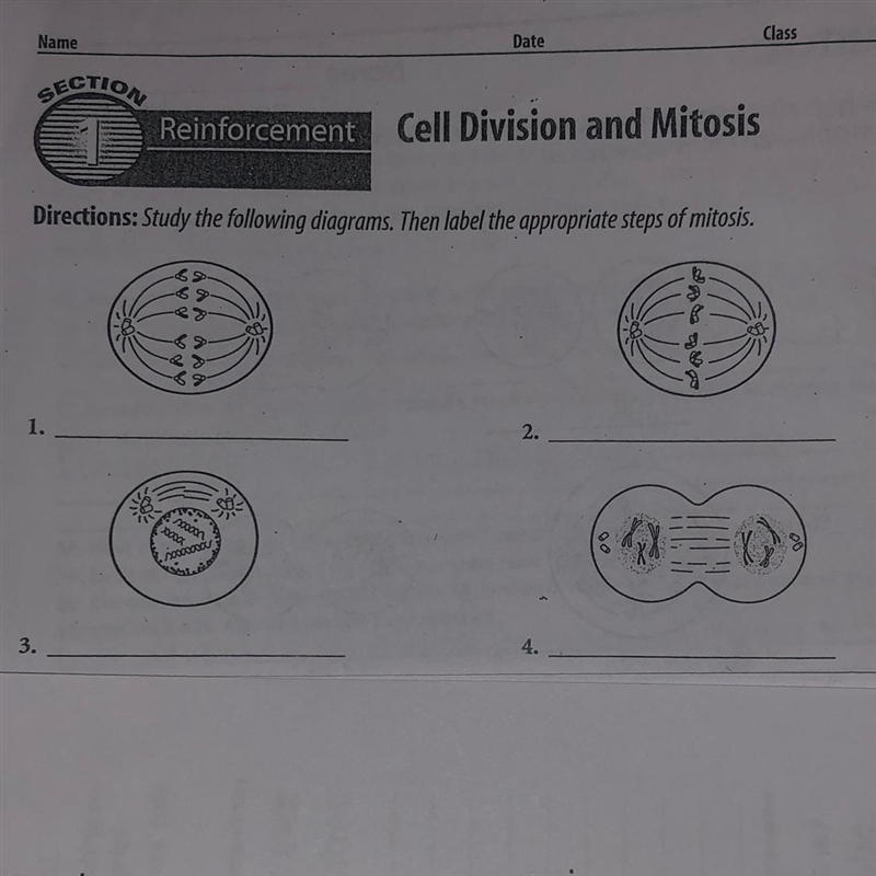 Can someone help me please-example-1