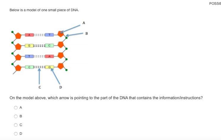 What's the answer pleaseeeeeeee-example-1