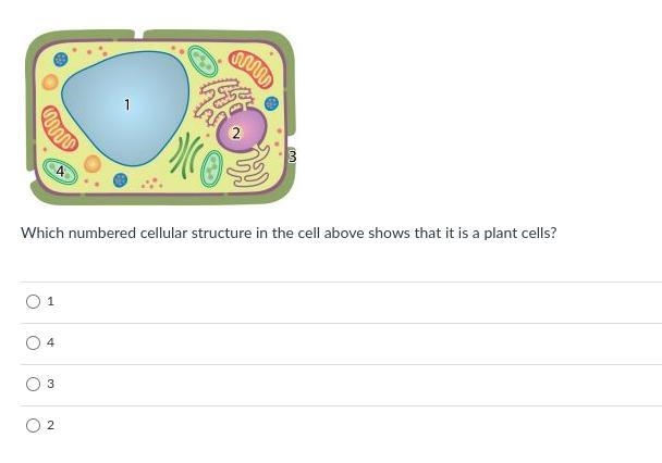 Can someone plz help me-example-1