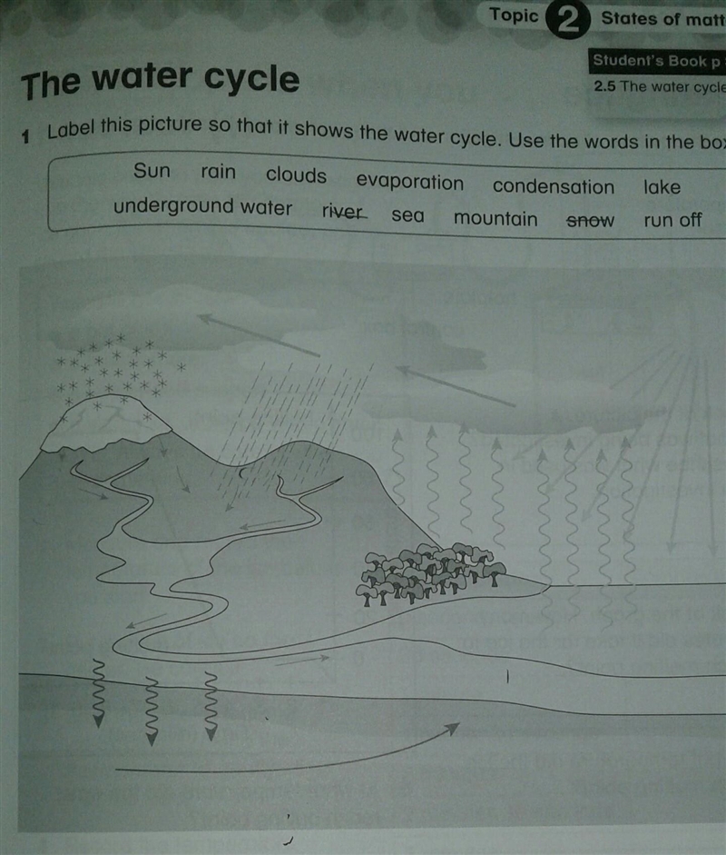 Can anybody help me doing this?? lesson: Science grade: 5 ​-example-1