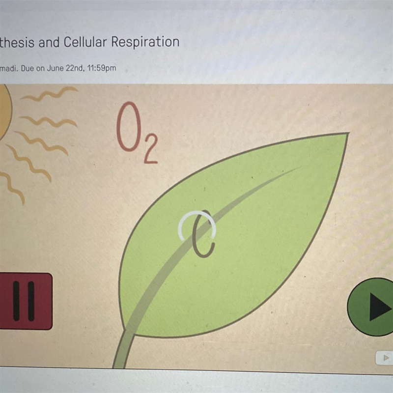 What is the name of this chemical reaction? A. photosynthesis B. diffusion C. cellular-example-1