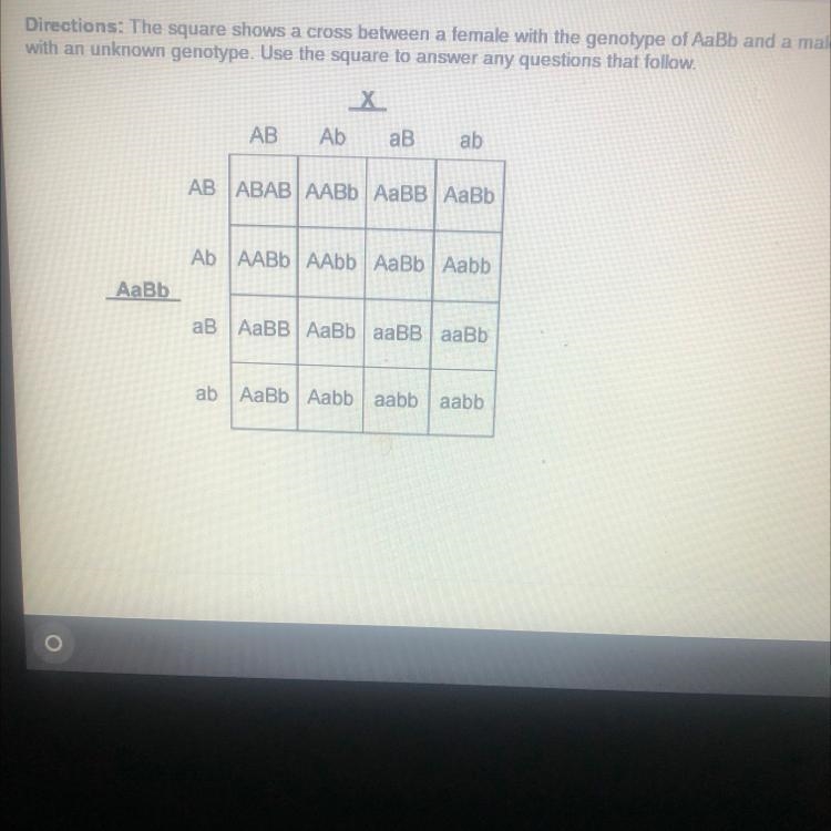 What is the male's genotype located at point X? A. aaBB В. ААВb с. АаВВ D. Аавb-example-1