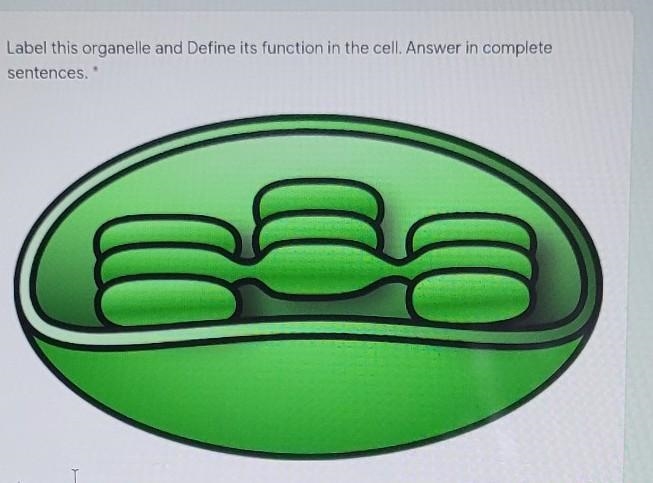 Label this organelle and Define its function in the cell.​-example-1