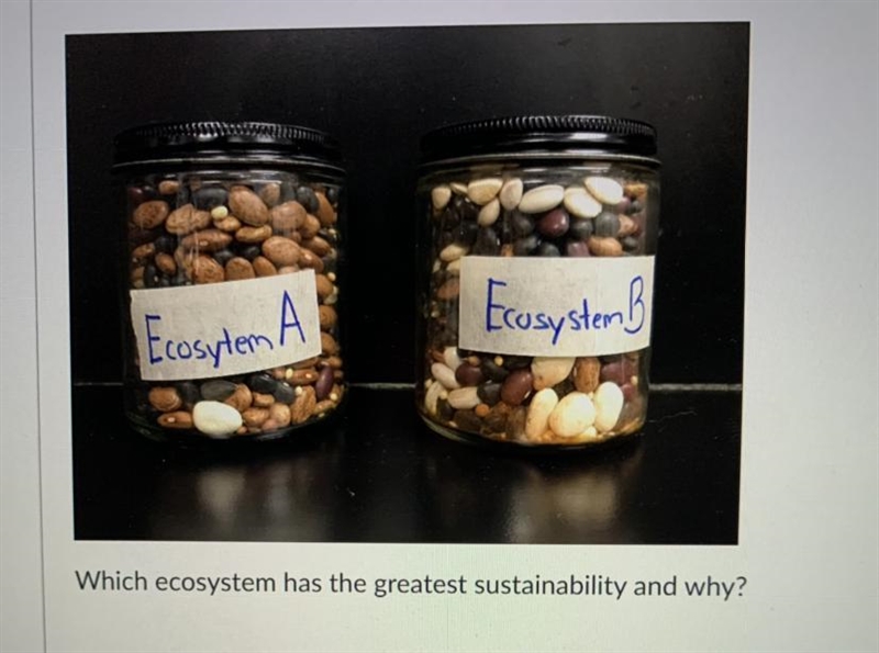 Ecosytem A Ecosystem B Which ecosystem has the greatest sustainability and why? PLEASE-example-1