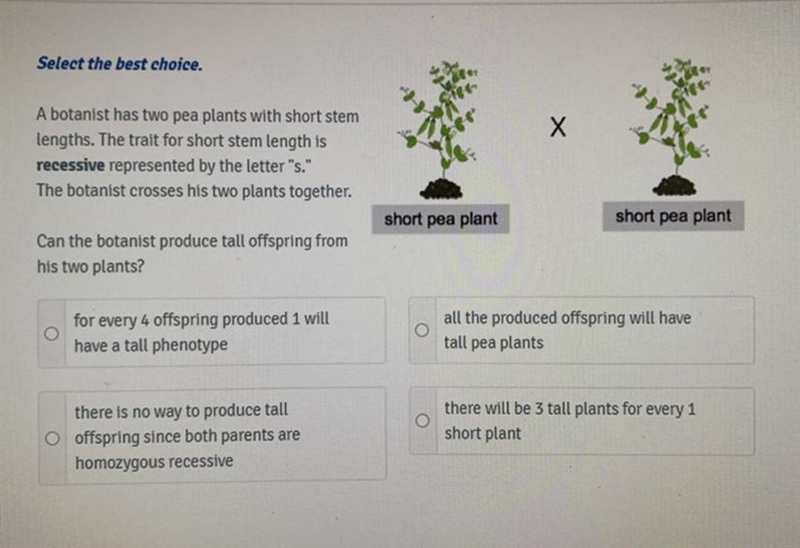 Correct choice asap!! bio-example-1