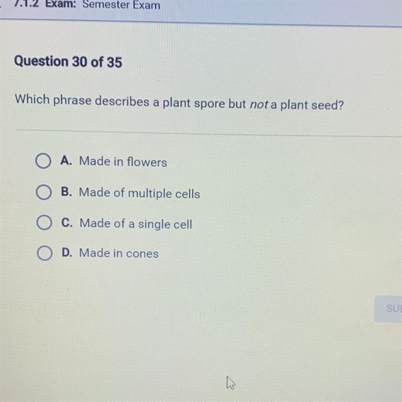 Please help me I can’t fail please fast-example-1