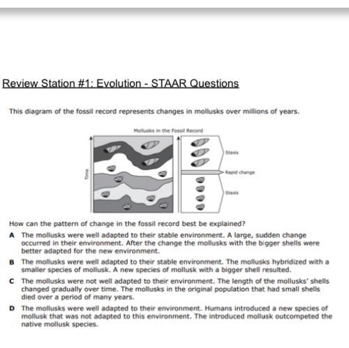 Y’all I need help!!-example-1