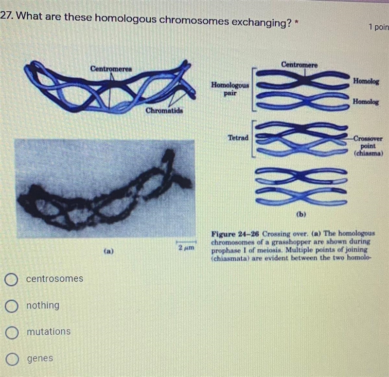 NEED ANSWERS ASAP. (Answer question in photo)-example-1