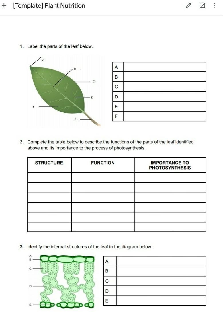 Plant Nutrition and Photosynthesis ​-example-1