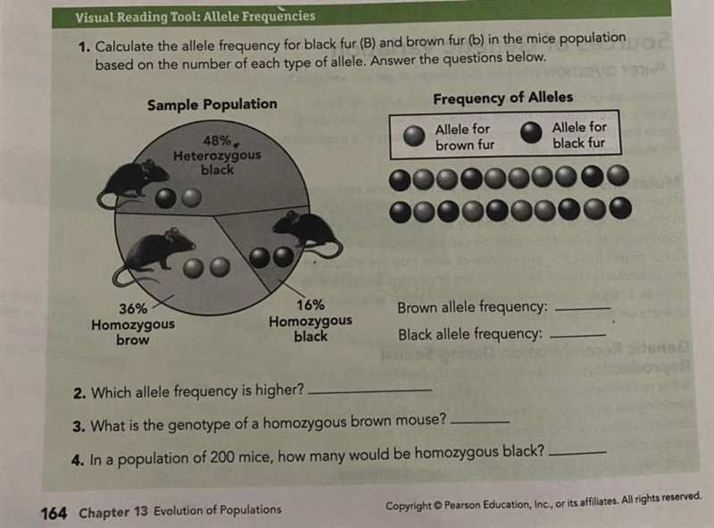 Lol i need help with 13.1 Evolution of Populations asap please!! thank you!-example-1