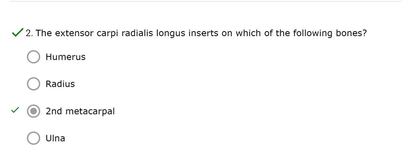 The extensor carpi radialis longus inserts on which of the following bones?-example-1