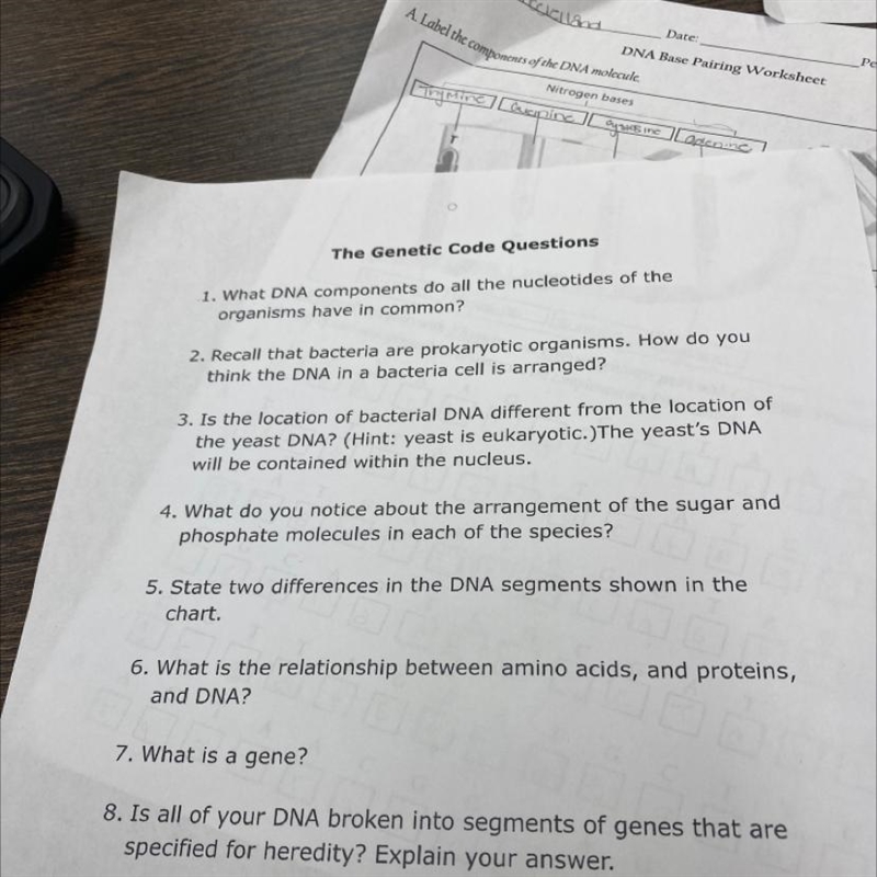 What DNA components do all the nucleotides of the organisms have in common?-example-1