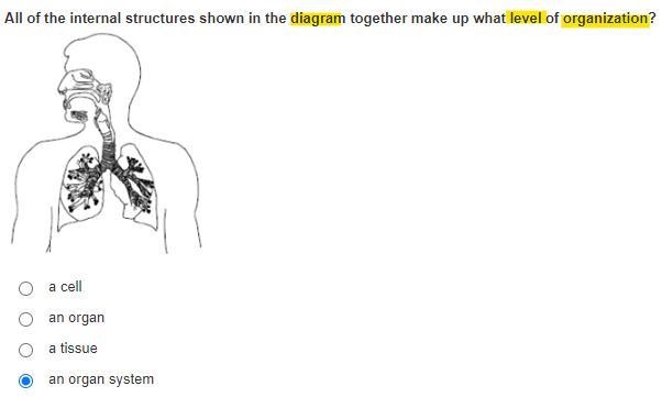 HELP PLEASE, JUST SAY, "A" B" C" OR "D"-example-1