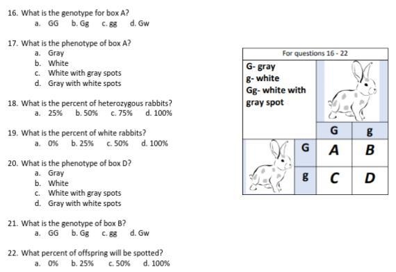 Can you guys please help me-example-3