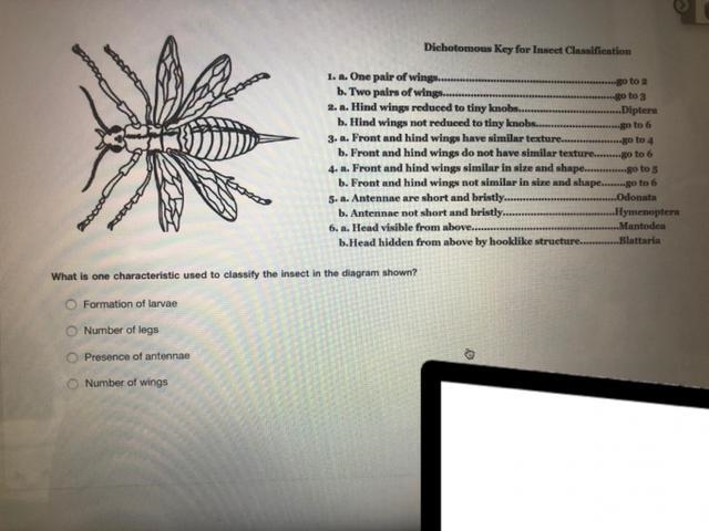 Dichotomous Key! Please help-example-1