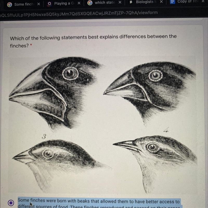 Which of the following statements best explains differences between the finches? A-example-1