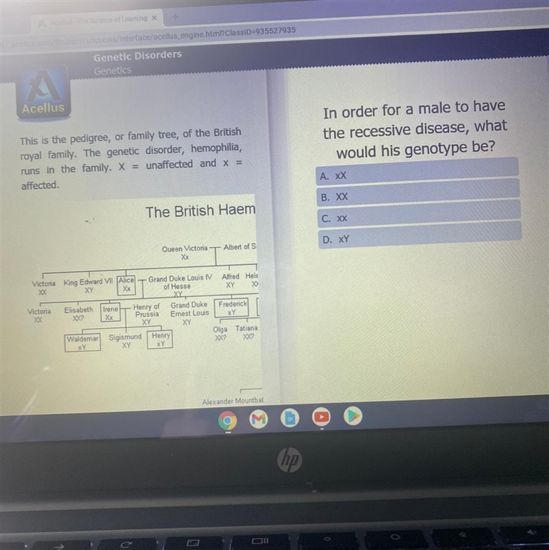 ￼ In order for a male to have the recessive disease, what what is genotype be?-example-1