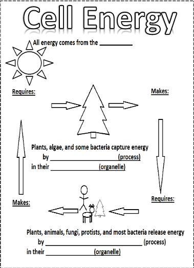 Help me, please with this :)-example-1