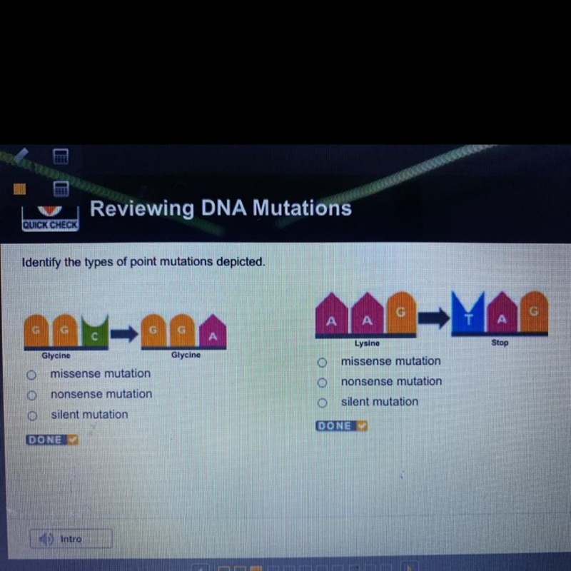 Identify the types of point mutations depicted.-example-1