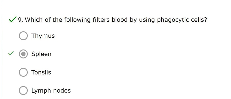 Which of the following filters blood by using phagocytic cells?-example-1