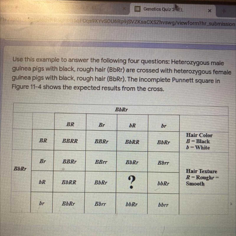 Identify the phenotype of the offspring represented by the question mark in Figure-example-1