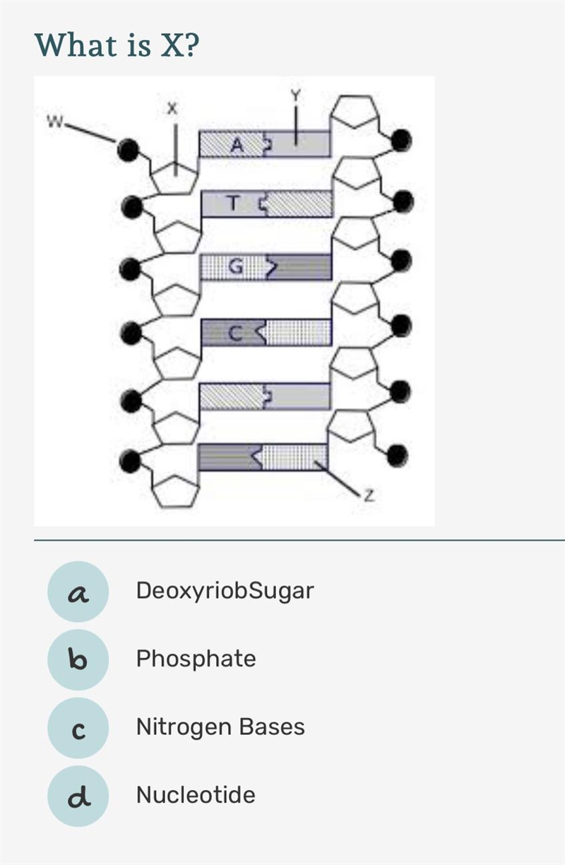 Please help! Anyone know what this is?-example-1