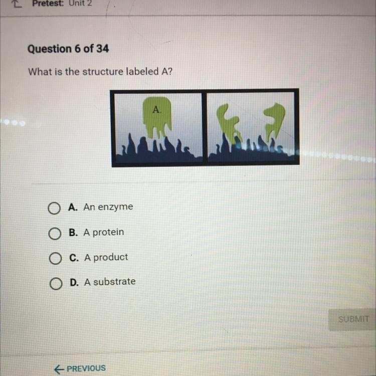 What is the structure labeled A?-example-1