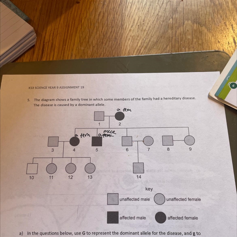 I) Give the genotype of person 5-example-1