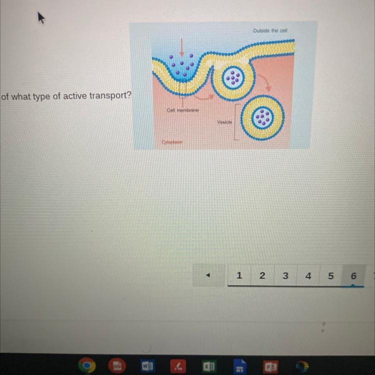 The following diagram is an example of what type of transports? A. Diffusion B. Osmosis-example-1