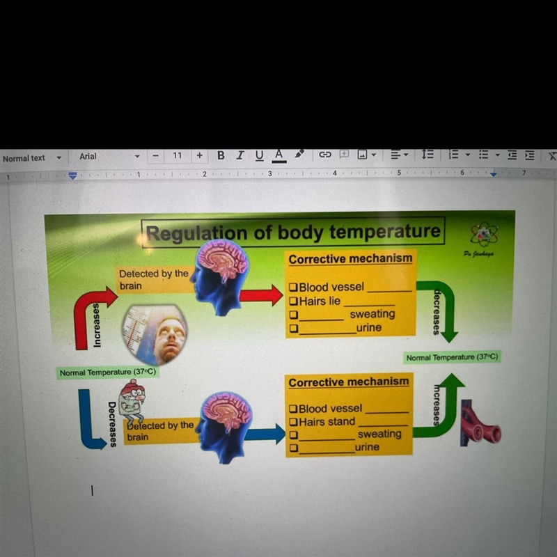 Regulation of body temperature Pe Gabey Corrective mechanism Detected by the brain-example-1