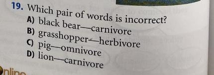 Which pair of words is incorrect? HELP SOON ASAP HELP HELP HURRY-example-1