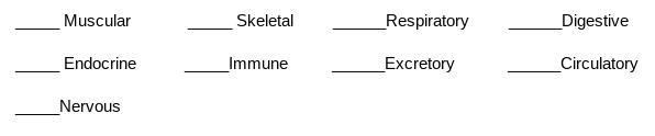 What systems are responsible for moving the gases oxygen and carbon dioxide-example-1