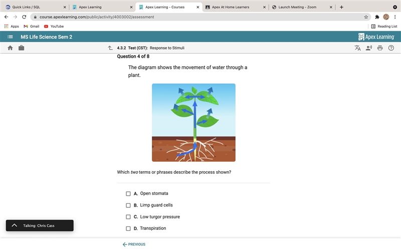 the diagram shows the movement of water through a plant which two terms or phrases-example-1