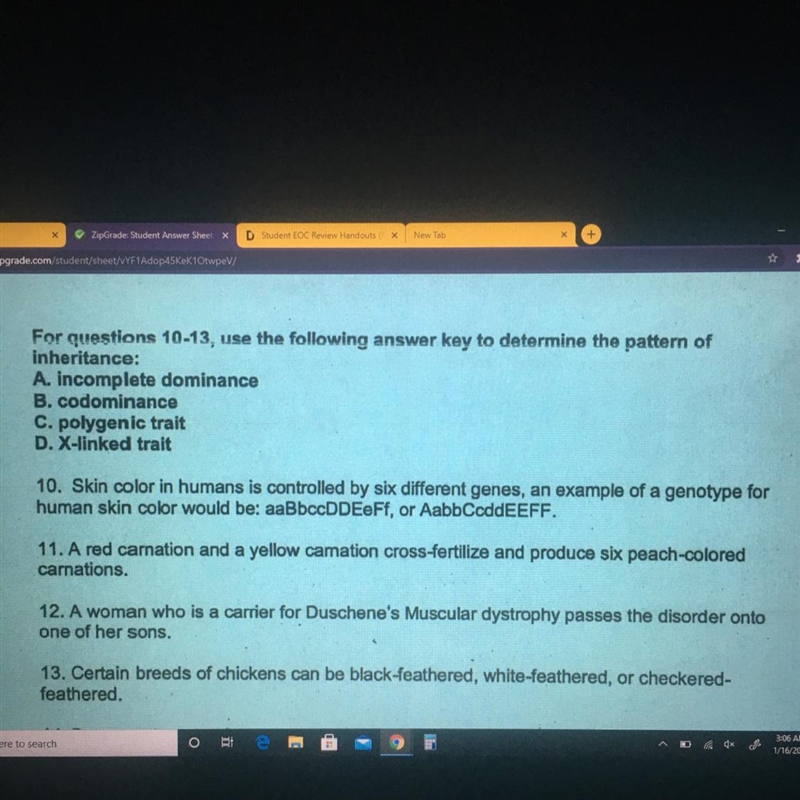 For questions 10-13, use the following answer key to determine the pattern of inheritance-example-1