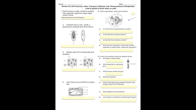 Questions are attached below I need help asap pls and thank you-example-1