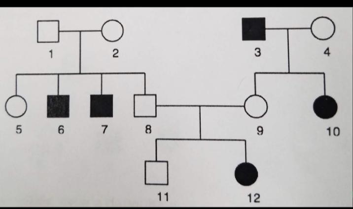 Is the trait being tracked in the pedigree a dominant trait or a recessive trait? Provide-example-1