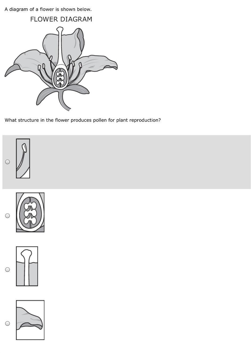 A diagram of a flower is shown below. What structure in the flower produces pollen-example-1