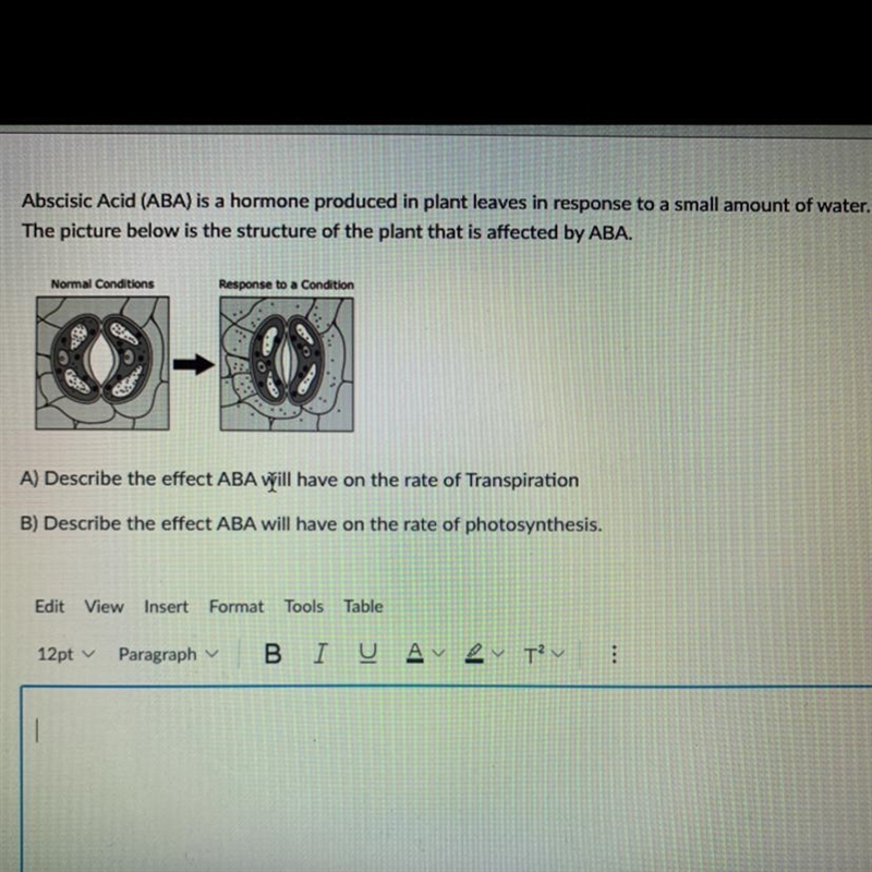 Help me on this please-example-1