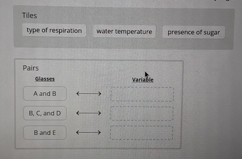 Once Jared completes the experiment, he will compare the amount of foam between different-example-1