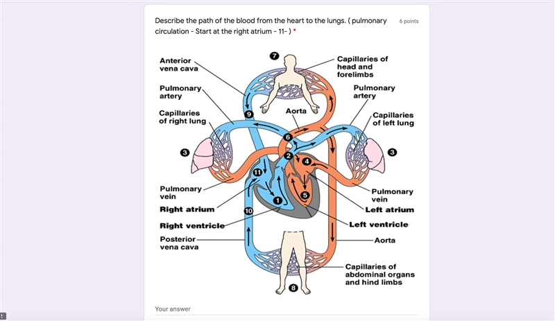 If you help me I'll give you a brain list-example-1