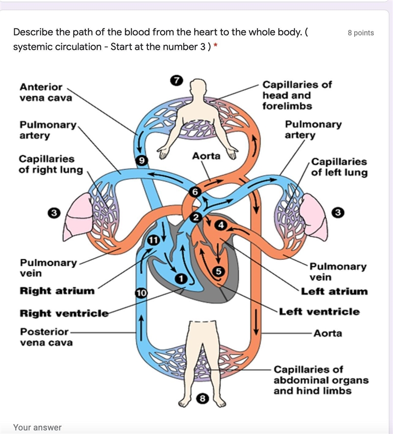 If you help me I'll give you a brain list-example-2