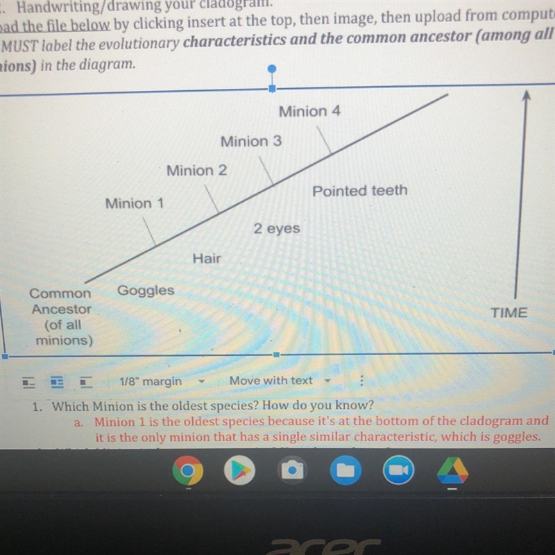 Which minion is oldest on this cladogram?-example-1