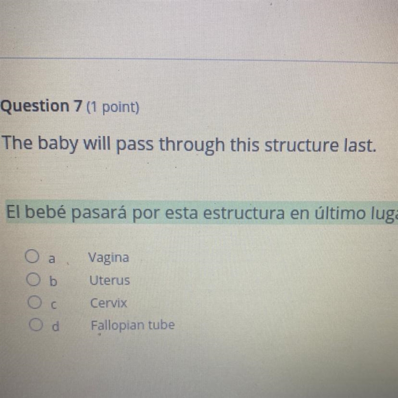 The baby will pass through what structure last? A.vagina, B.uterus, C.cervix, D. Fallopian-example-1