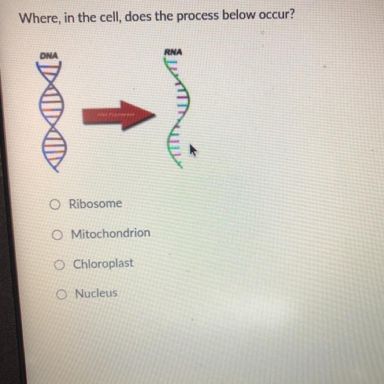 Can some help please? Where, in the cell, does the process below occur?-example-1