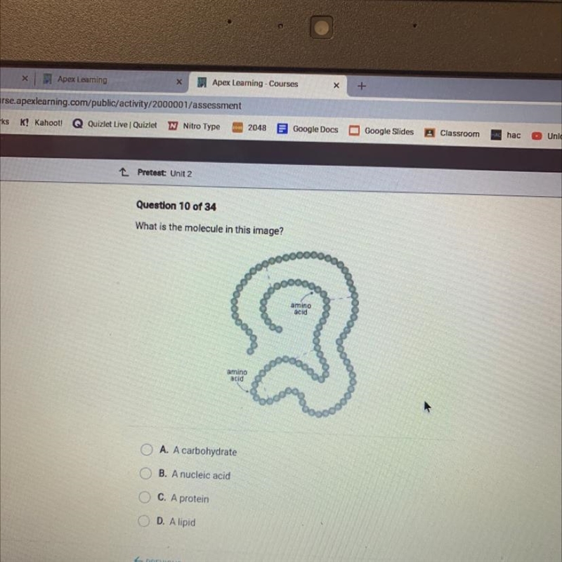 What is the molecule in this image? amino acid amino acid A. A carbohydrate B. A nucleic-example-1