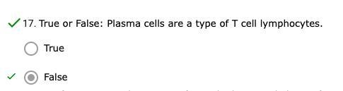 True or False: Plasma cells are a type of T cell lymphocytes. *false-example-1