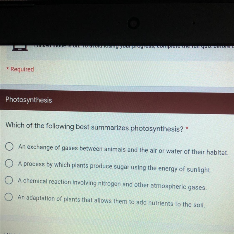 Which of the following best summarizes photosynthesis? *-example-1