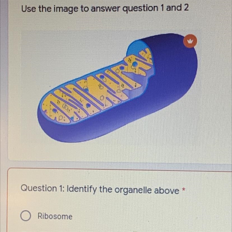 Ma Question 1: Identify the organelle above * Ribosome O Mitochondria O Nucleus Chloroplast-example-1