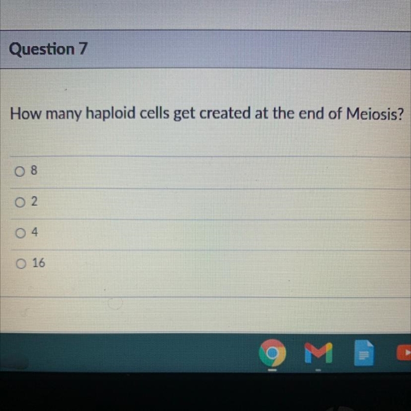 How many haploid cells get created at the end of Meiosis? A: 8 B: 2 C: 4 D: 16-example-1