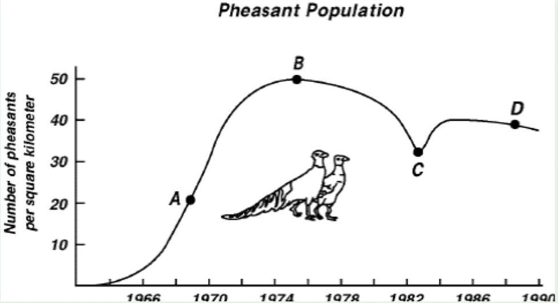 Please help! I need this rn! What happened to the pheasant population between point-example-1